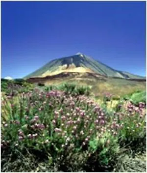 Borinquen